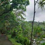 hawaii-big-island-14