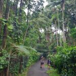 hawaii-big-island-15