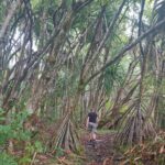 hawaii-big-island-17