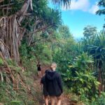 hawaii-kauai-kalalau-trail-11