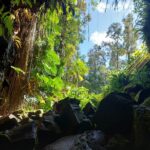 hawaii-lava-tube-04