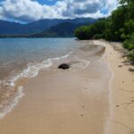 hawaii-oahu-beach-08