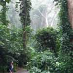 hawaii-oahu-hike-01