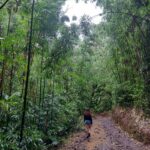 hawaii-oahu-hike-04