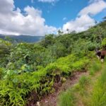 hawaii-oahu-hike-20
