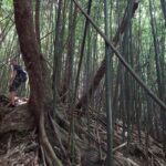 hawaii-oahu-hike-22