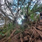 hawaii-oahu-hike-28