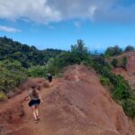 hawaii-waimea-canyon-08