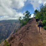 hawaii-waimea-canyon-10