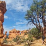 arches-trail-01