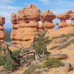 arches-trail-04