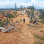 arches-trail-06