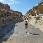 neilson-wash-20260811_103524