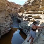 neilson-wash-20260811_104235