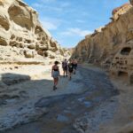 neilson-wash-20260811_104951