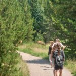 rocky-mountains-05