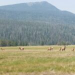 rocky-mountains-07