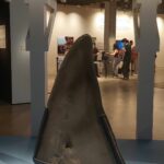 visites-02