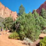 water-canyon-01