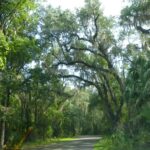 diapo-floride-20