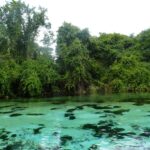 diapo-floride-29