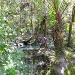 diapo-floride-33