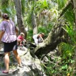 diapo-floride-35