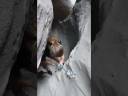 Descente dans le Ropes Canyon